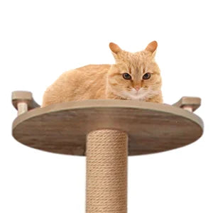Cat Tree 59.6'' Wooden Cat Tree 6 Multi-Level Jumping Platforms Modern Cat Tree Space Capsules Cat Trees for Indoor Large Cats