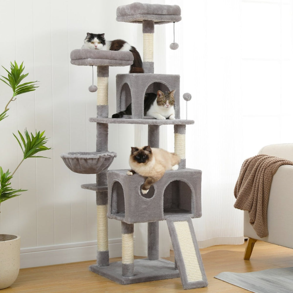 Cat Trees
