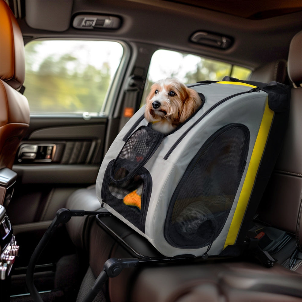 Pet Travel Ready