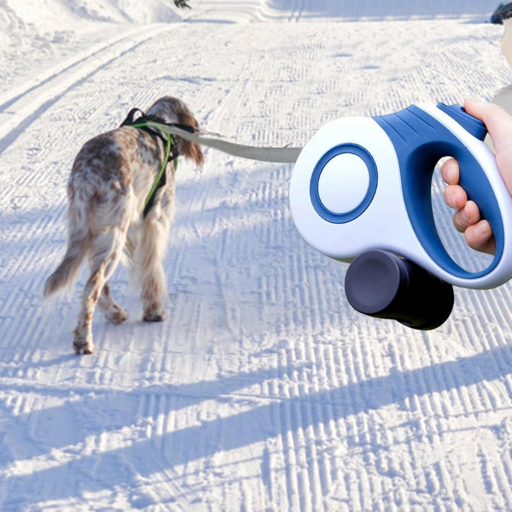 Pet Accessories: