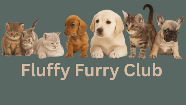 Fluffy Furry Club